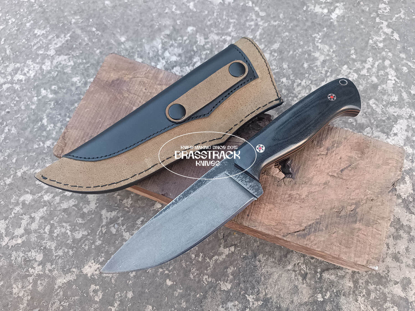 Vanguard V01