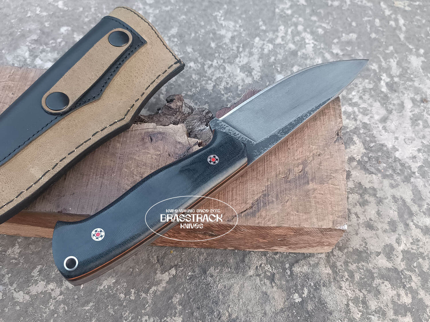 Vanguard V01