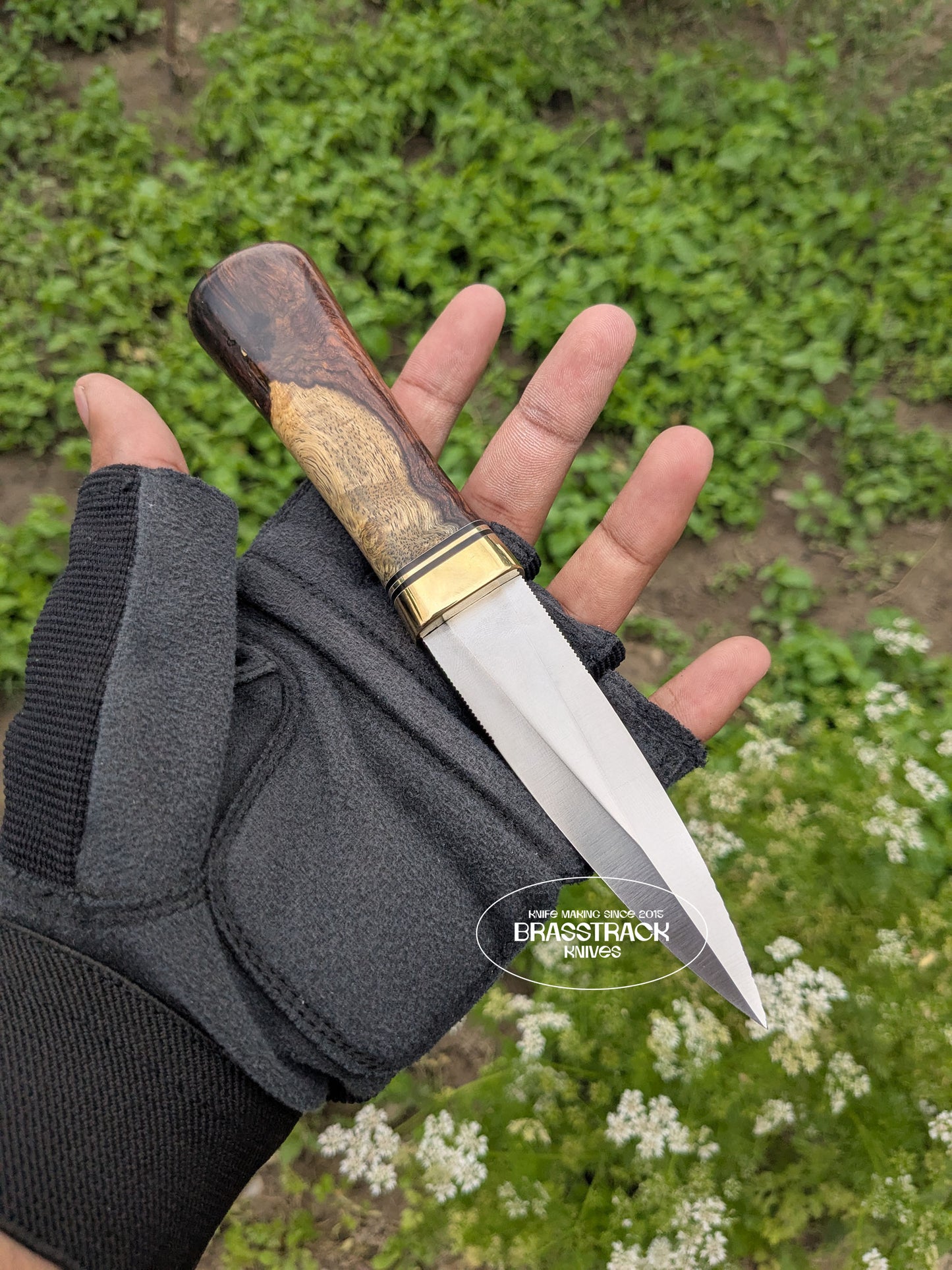 Guardian - Custom Edition